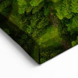 Swiss Landscape Art - Aerial River and Forest Switzerland Photography Prints