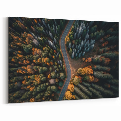 Swiss Forest Aerial Art - Scenic Switzerland Road and Trees Canvas Print