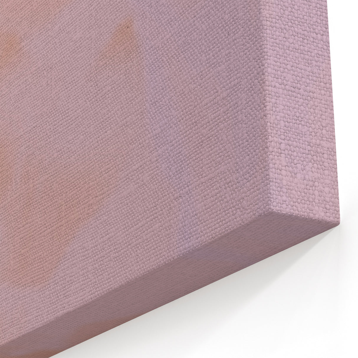 Nature-Inspired Abstract Floral Gradient Art with Soft Pink Tones