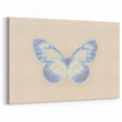 Nature-Inspired Gradient Butterfly Art | Abstract Textured Wall Décor