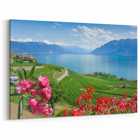 Scenic Geneva Wall Art - Vineyard and Lake View Geneva Photography Prints