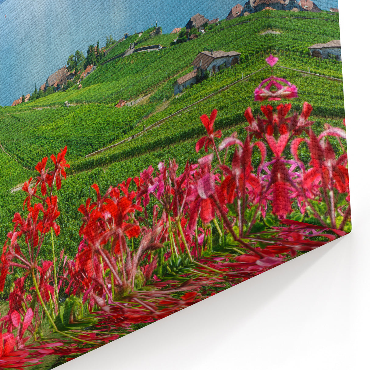 Scenic Geneva Wall Art - Vineyard and Lake View Geneva Photography Prints
