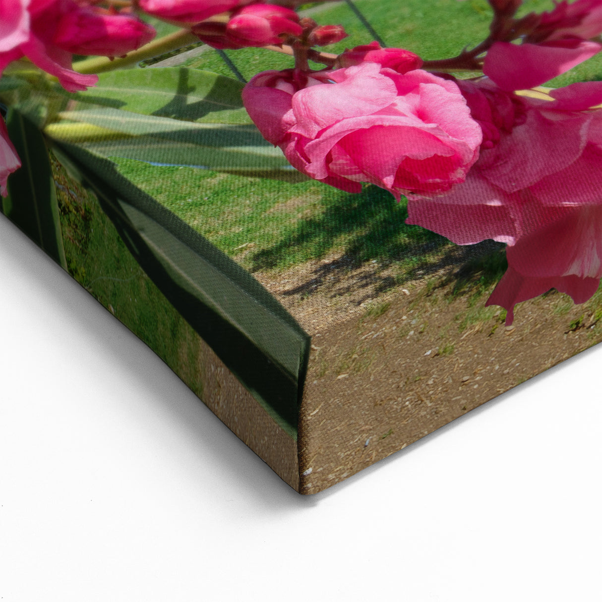 Scenic Geneva Wall Art - Vineyard and Lake View Geneva Photography Prints