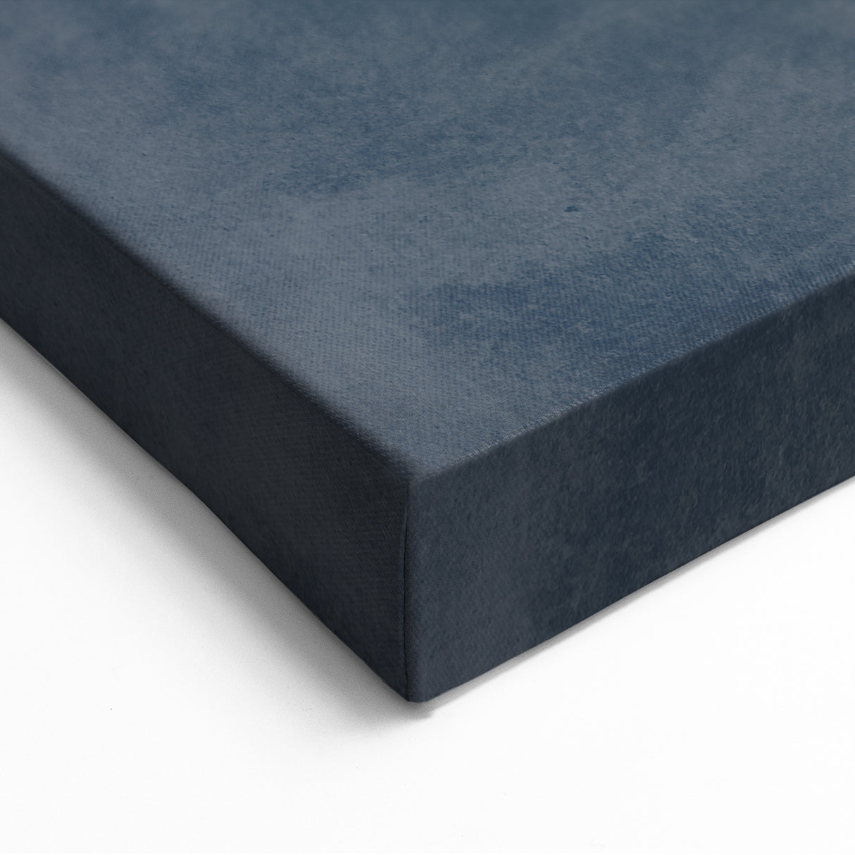Mid Century Modern Art - Retro Minimalist Botanical Design in Navy Blue