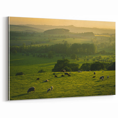Rustic Wall Art - Sunset Farmhouse Landscape with Grazing Sheep
