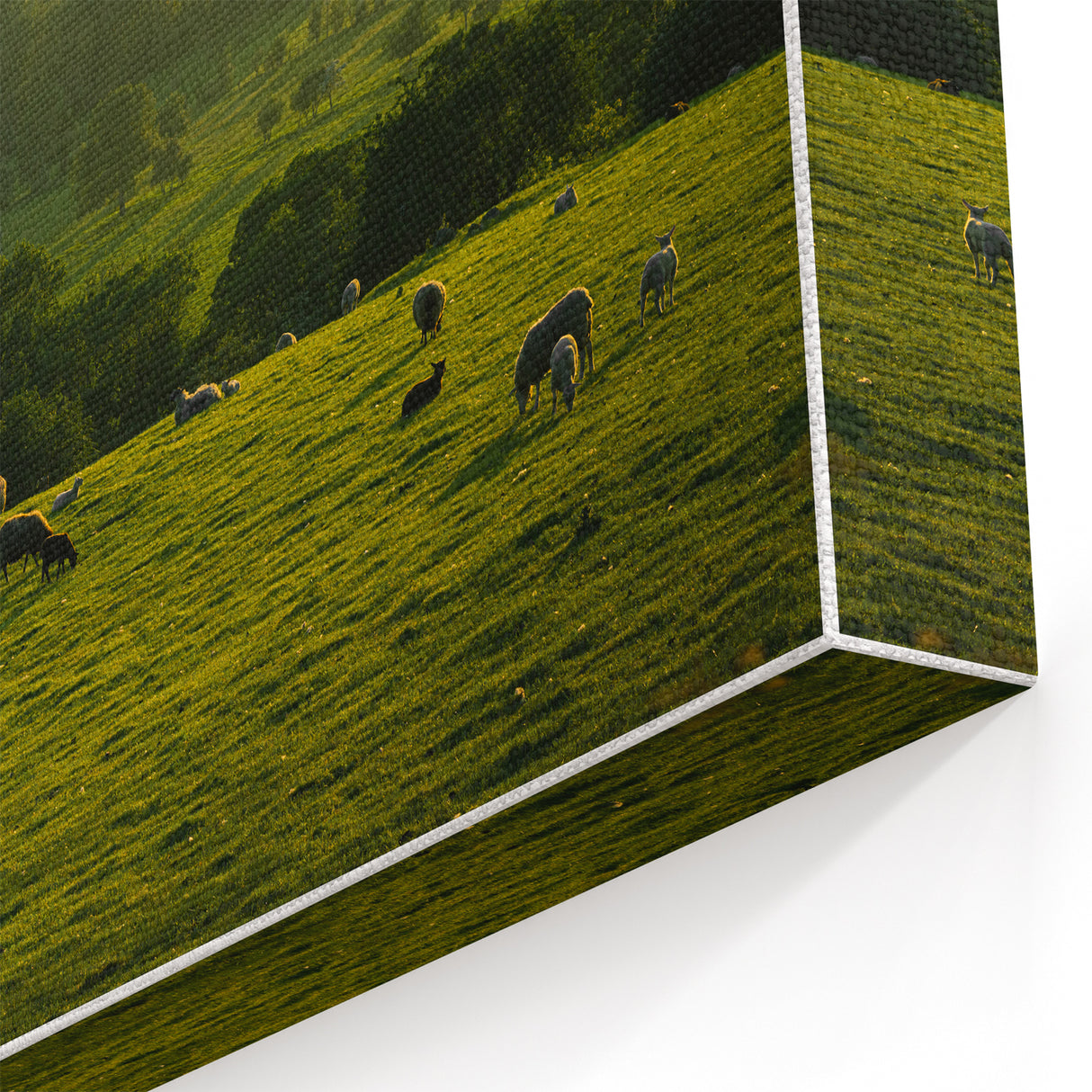Rustic Wall Art - Sunset Farmhouse Landscape with Grazing Sheep