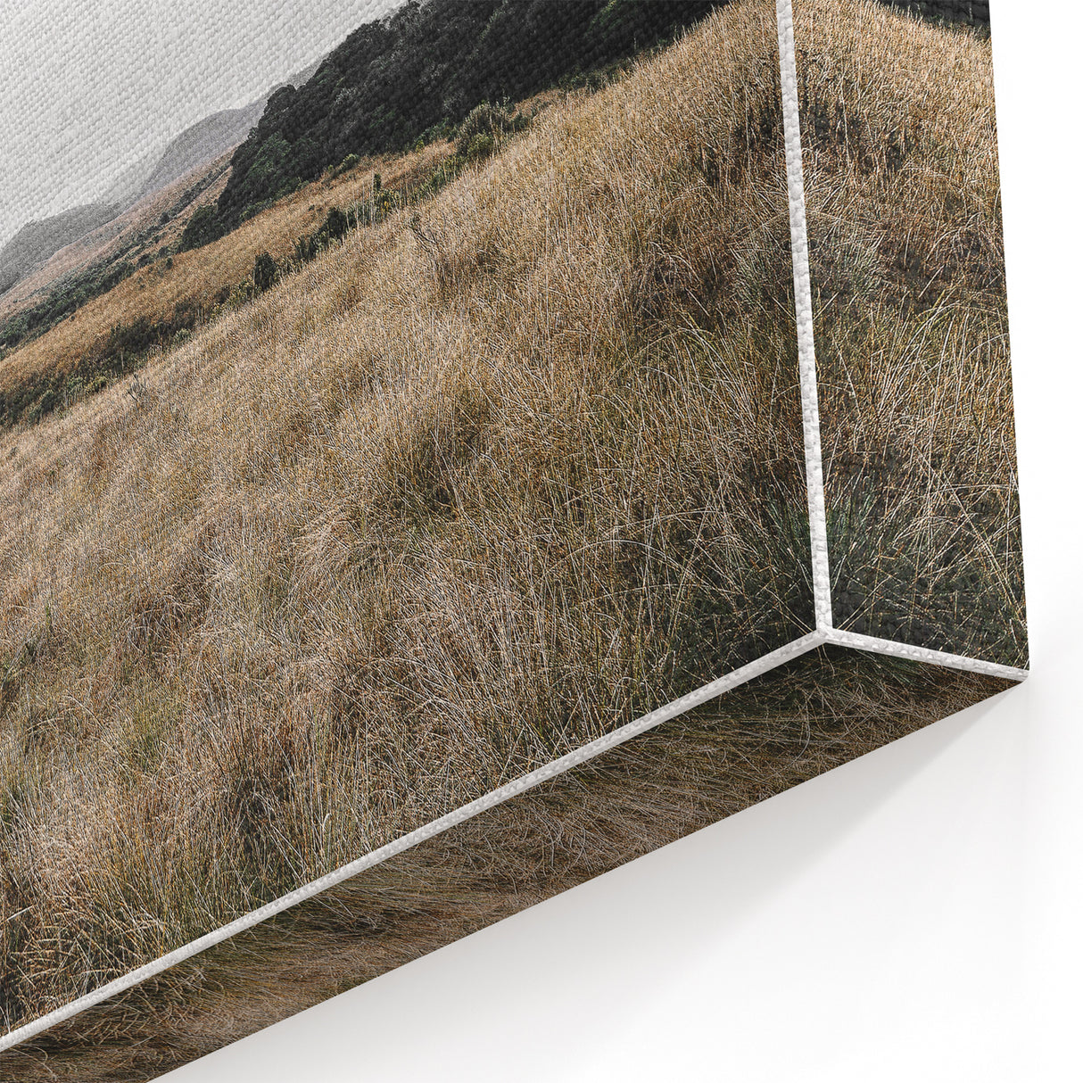 Rustic Wall Art - Minimalist Grassland Landscape for Farmhouse Decor