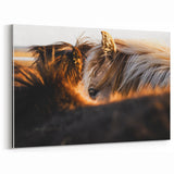 Rustic Wall Art - Close-Up of Horses with Warm Natural Lighting