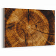 Rustic Wall Art - Tree Trunk Cross-Section with Natural Wood Texture