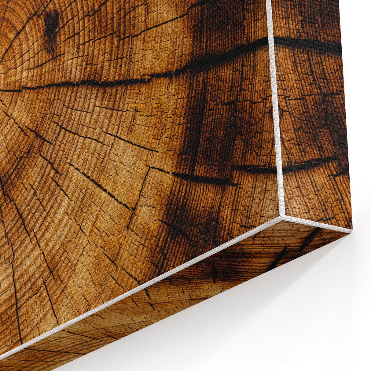 Rustic Wall Art - Tree Trunk Cross-Section with Natural Wood Texture