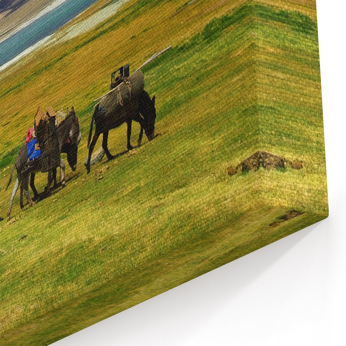 China Regional Art - Tibetan Nomadic Life Canvas and Framed Wall Art