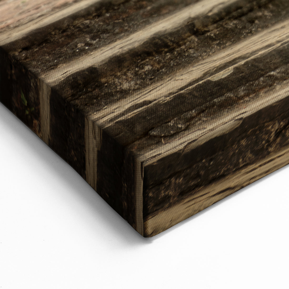 Tibetan Scenery Art - Young Monks with Red Parasols Canvas and Prints