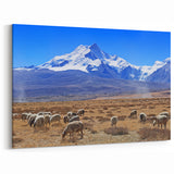 Tibetan Scenery Art - Grazing Sheep in Mountain Valley Canvas and Prints