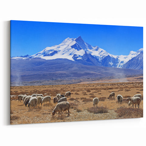 Tibetan Scenery Art - Grazing Sheep in Mountain Valley Canvas and Prints