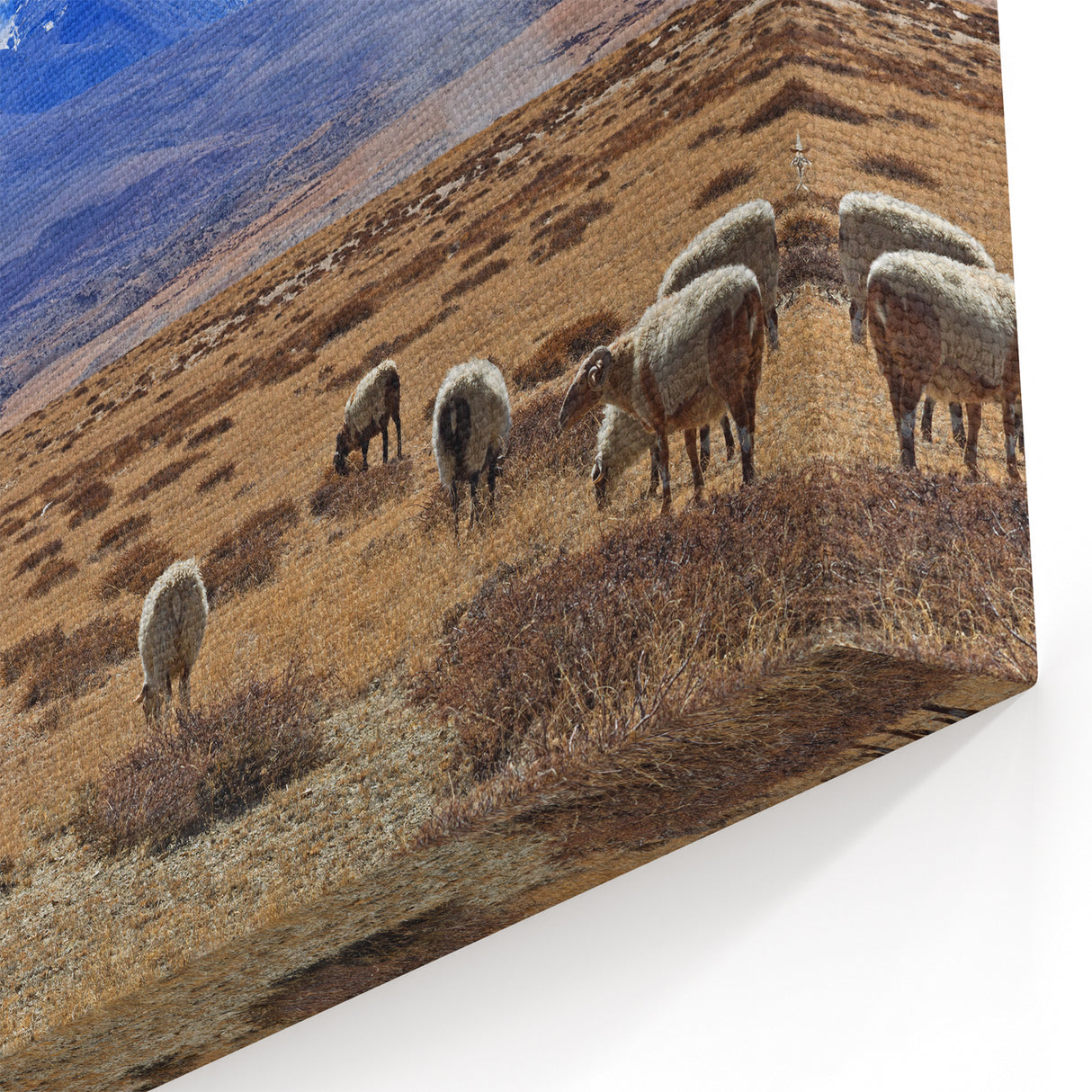 Tibetan Scenery Art - Grazing Sheep in Mountain Valley Canvas and Prints