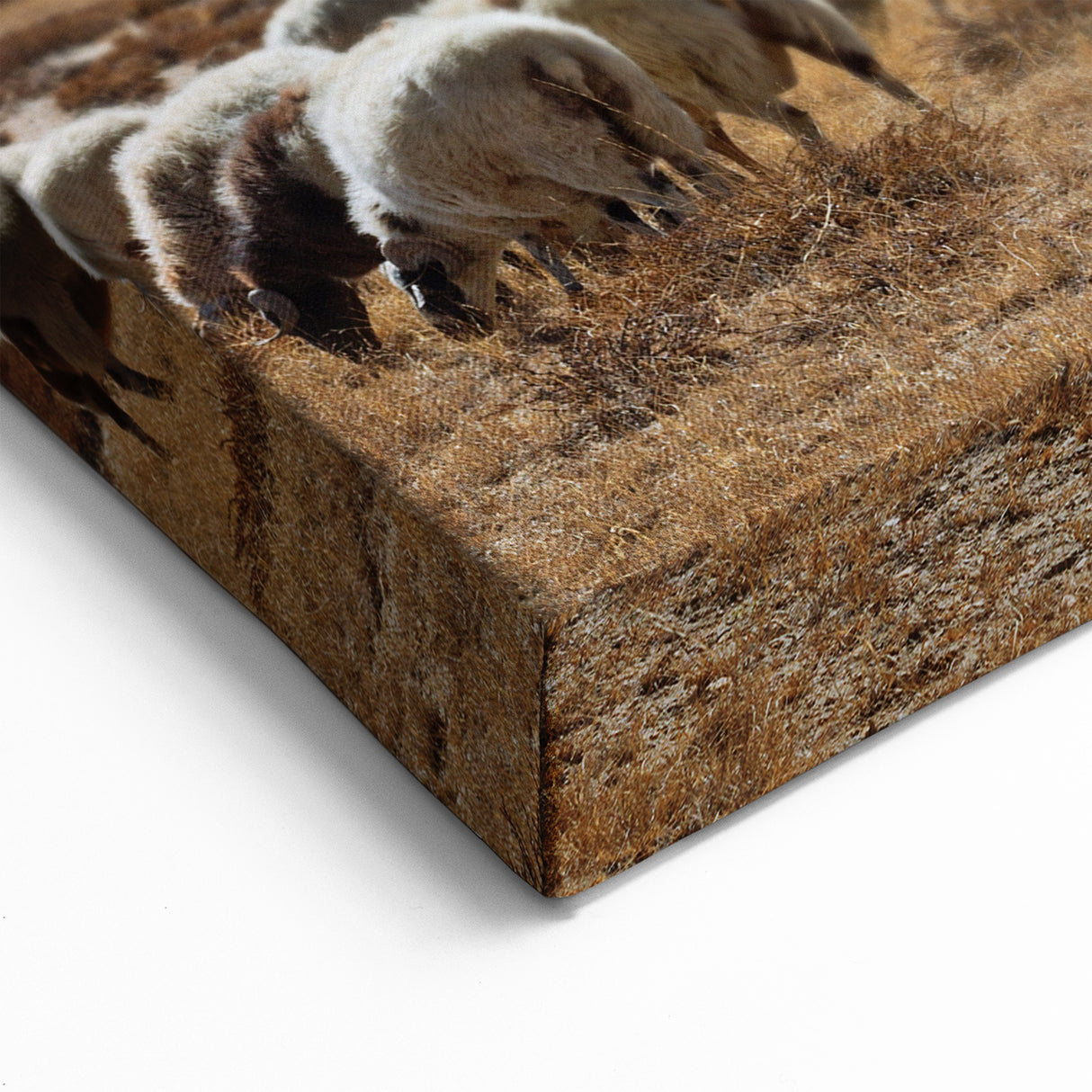 Tibetan Scenery Art - Grazing Sheep in Mountain Valley Canvas and Prints