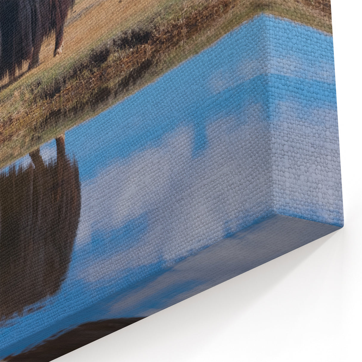 Scenic Tibet Prints - Grazing Yak by Mountain Reflection Canvas and Prints