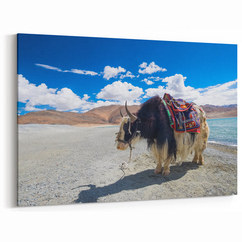 Traditional Tibet Wall Art - Yak by Lake in Mountain Landscape