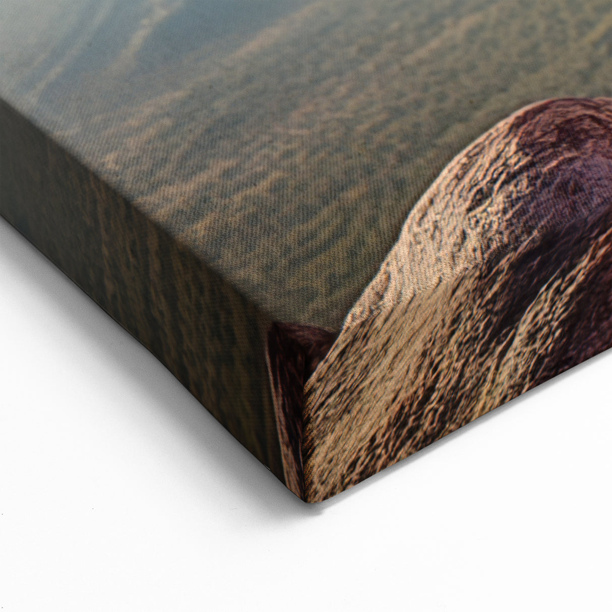 Tibet Wall Art - Meditative Monk Overlooking Landscape