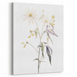 Minimalist Floral Wall Art - Delicate Watercolor Flower in Soft Tones