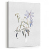 Minimalist Floral Wall Art - Soft Watercolor Flowers in Pale Blue Tones