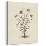 Minimalist Wall Art – Botanical Wildflower Sketch for Simple Home Decor