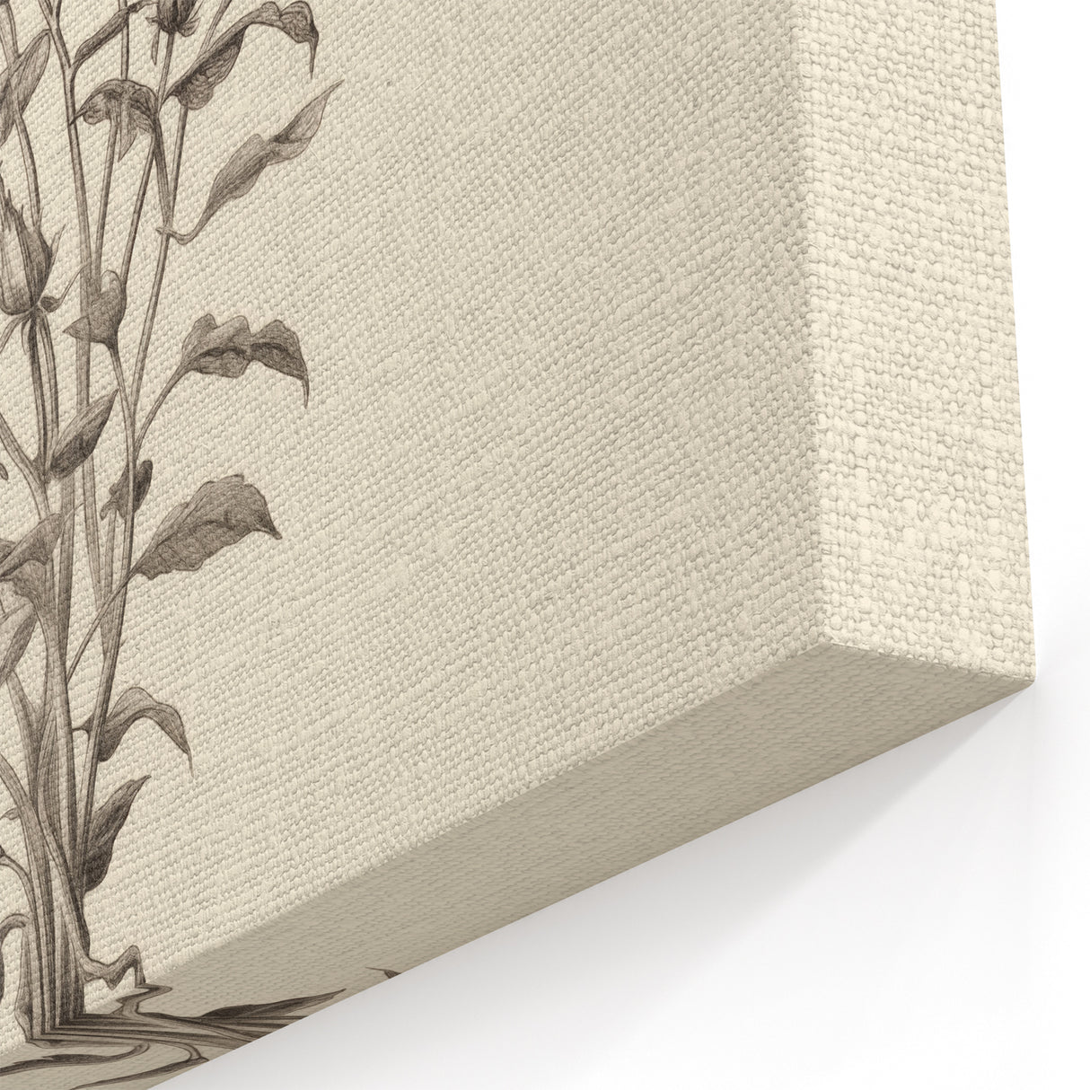 Minimalist Wall Art – Botanical Wildflower Sketch for Simple Home Decor