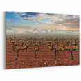 Scenic Valencia Artwork - Vineyard Sunrise Valencia Photography Print