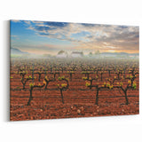 Scenic Valencia Artwork - Vineyard Sunrise Valencia Photography Print