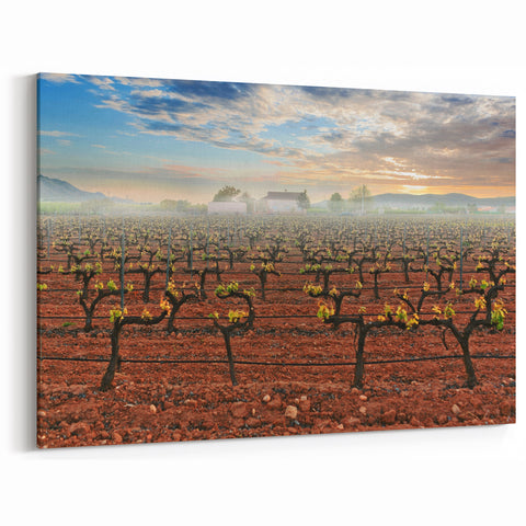 Scenic Valencia Artwork - Vineyard Sunrise Valencia Photography Print