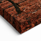 Scenic Valencia Artwork - Vineyard Sunrise Valencia Photography Print