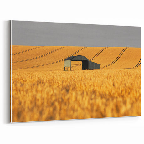 Golden Wheat Field Wall Art | Farmhouse Rustic Decor | Vintage Landscape