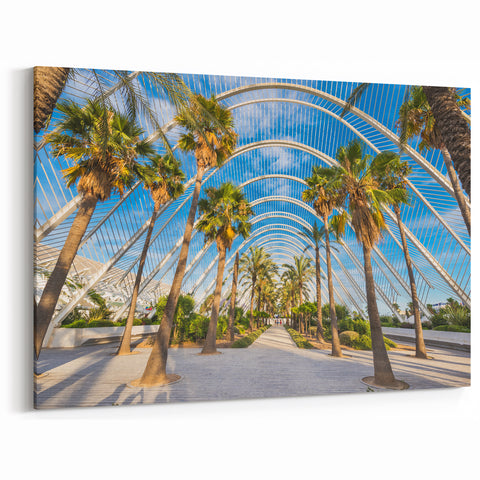 Valencia Photography Prints - Palm Trees and Modern Architecture Scene