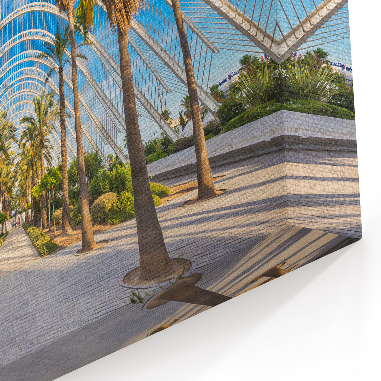 Valencia Photography Prints - Palm Trees and Modern Architecture Scene