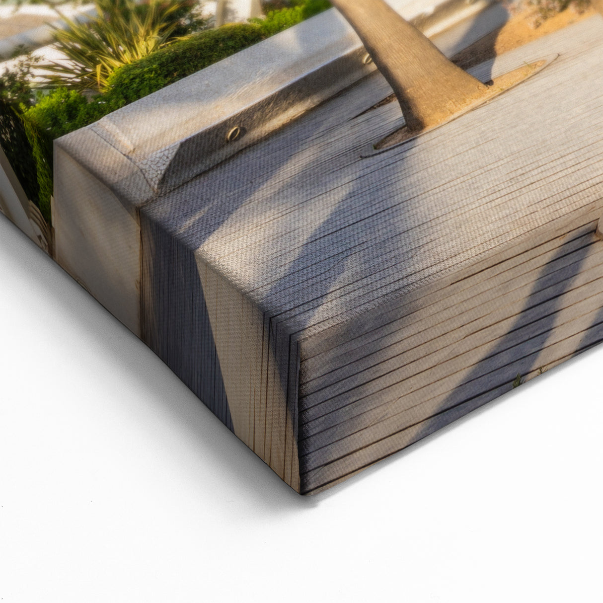 Valencia Photography Prints - Palm Trees and Modern Architecture Scene