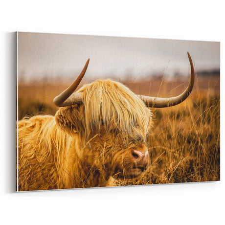 Rustic Highland Cow Wall Art | Farmhouse Animal Decor | Vintage Nature Print