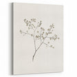 Minimalist Botanical Art Print: Simple Nature-Inspired Wall Art in Neutral Tones
