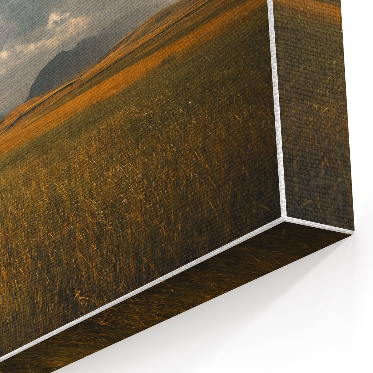 Golden Field Under Stormy Sky Wall Art | Rustic Farmhouse Decor | Nature Print