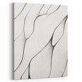Minimalist Abstract Line Art: Flowing Organic Patterns in Black and White