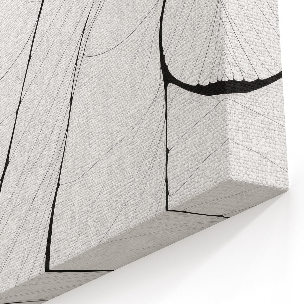 Minimalist Abstract Line Art: Delicate Organic Patterns in Black and White