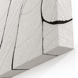 Minimalist Abstract Line Art: Delicate Organic Patterns in Black and White