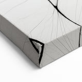 Minimalist Abstract Line Art: Delicate Organic Patterns in Black and White