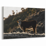 Lone Cow at Dusk Wall Art | Rustic Farmhouse Animal Decor | Nature Print