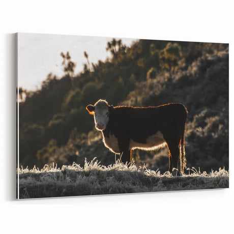 Lone Cow at Dusk Wall Art | Rustic Farmhouse Animal Decor | Nature Print