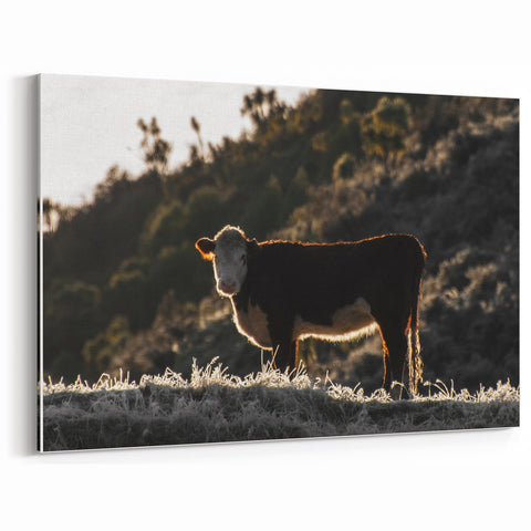 Lone Cow at Dusk Wall Art | Rustic Farmhouse Animal Decor | Nature Print