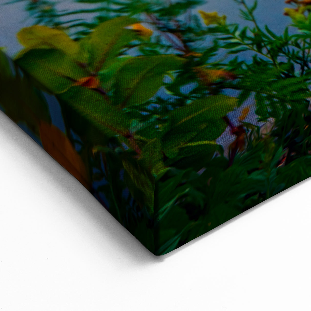 Missouri Landscape Art – St. Louis Bridge with Sunset and Wildflowers