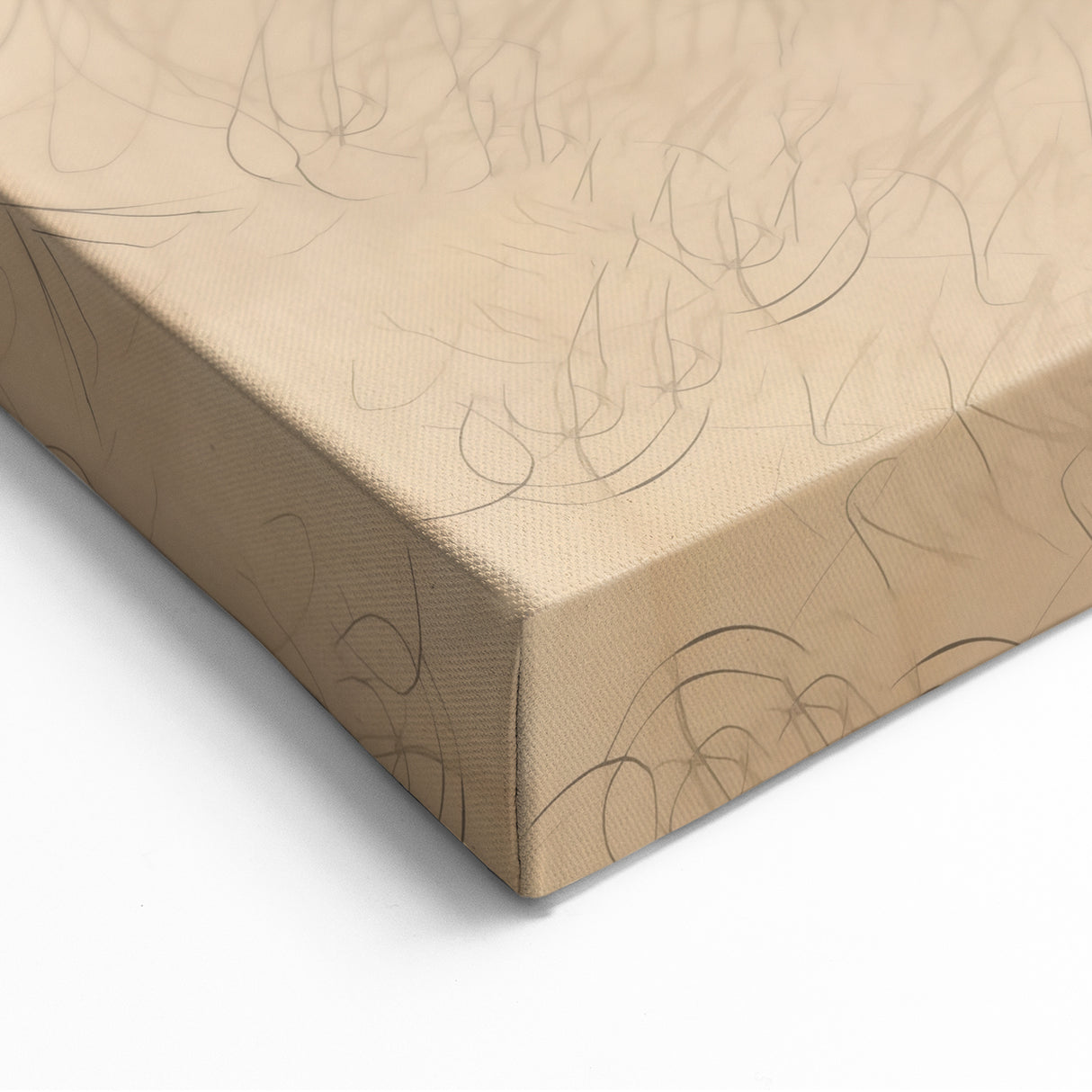 Minimalist Abstract Line Art: Organic Shape with Neutral Background