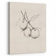 Minimalist Botanical Line Art: Sketch of Apples on Branch in Neutral Tones