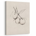 Minimalist Botanical Line Art: Sketch of Apples on Branch in Neutral Tones