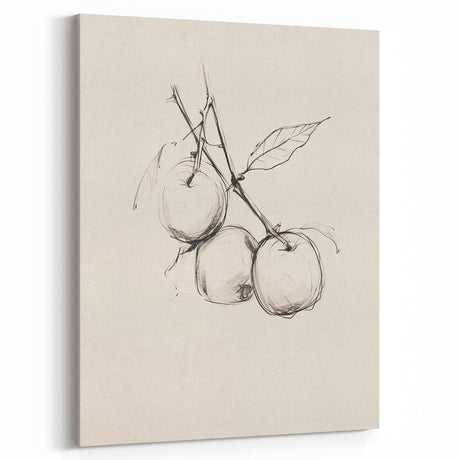 Minimalist Botanical Line Art: Sketch of Apples on Branch in Neutral Tones